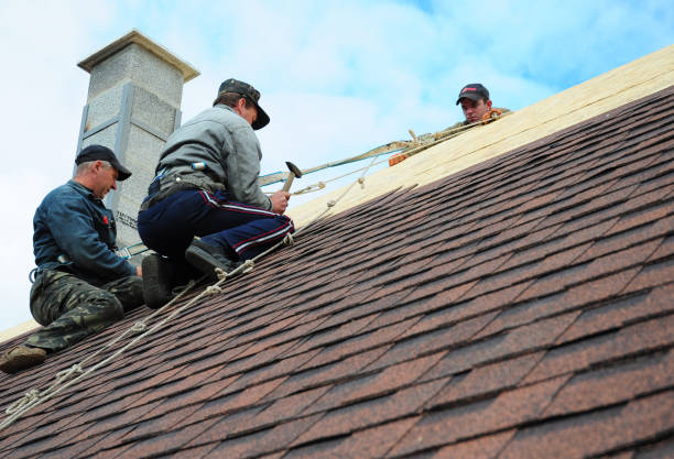 Professional Roofing Contractor in Tiburon, CA